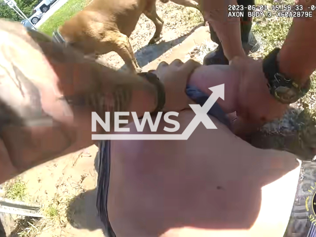 Police officers arrest Frank Clement Jr., in Flager County, Florida, on Thursday, June 1, 2023. The suspect grabbed an officer's balls. Note: Picture is a screenshot from a video. (@flaglersheriff/Newsflash)