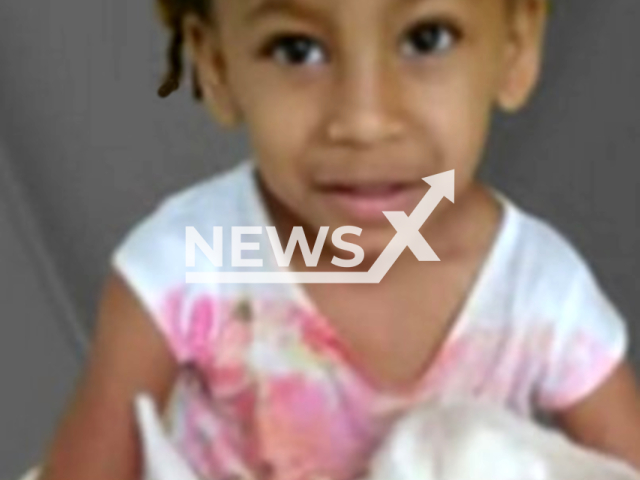 Photo shows Emily Carolina Martins Timoteo (5), undated. She died after being attacked by swarm of bees in Aracai, Belo Horizonte in Brazil.
Note: Private photo(Newsflash).