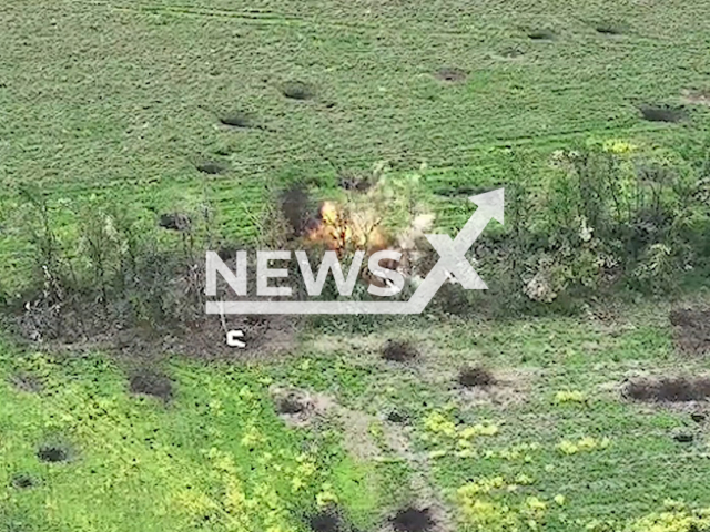 Ukrainian artillerymen blow up group of Russian soldiers at their camouflaged position among trees in Svatove direction of Ukraine in undated footage. The footage was released by the State Border Service of Ukraine on Wednesday, June 14, 2023. Note: Picture is a screenshot from a video (@DPSUkraine/Newsflash)