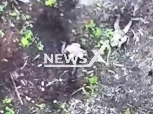 picture shows Russian soldiers in a foxhole in Ukraine in undated footage. The footage was released by the 8th Separate Mountain Assault Battalion on Wednesday, June 14, 2023. Note: This picture is a screenshot from the video. (@ogshb8/Newsflash)