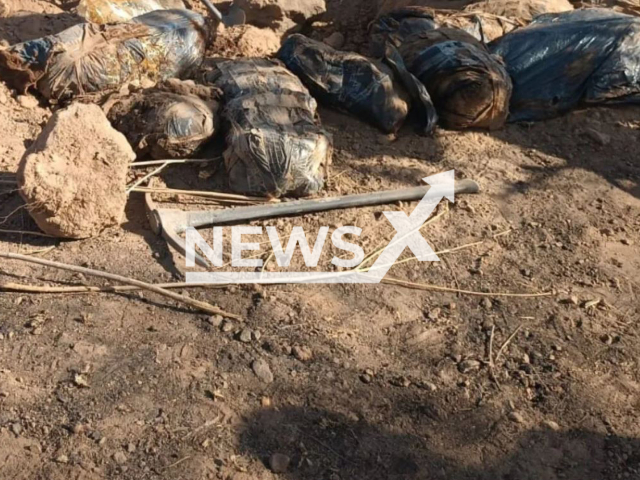 Picture shows bags of remains, undated. Madres Buscadoras de Jalisco located 27 bags with human remains in a clandestine grave in Tlajomulco, Mexico, on Tuesday, June 13, 2023.  Note: Private photo.  (Madres Buscadoras de Jalisco/Newsflash)