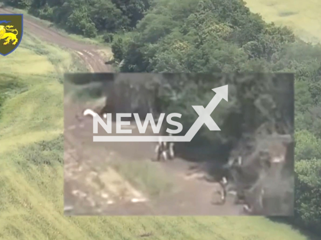 Russian infantry move near their position among trees in Ukraine in undated footage. The footage was released by the 60th separate mechanized Ingulets brigade on Monday, June 19, 2023.  Note: Picture is a screenshot from a video (@60ombr/Newsflash)