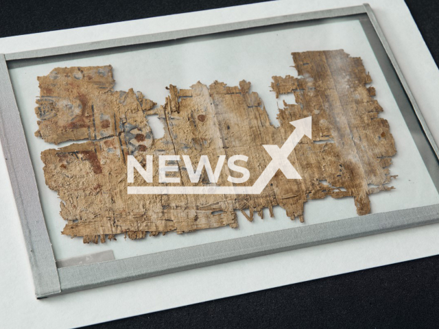 Photo shows an Egyptian papyrus from the 3rd century BC showing evidence of sewing, indicating that it must have been part of the oldest-known book, undated. The fragment was found in 1902 in the wrapping of a mummy. Note: Licensed photo. (Uni Graz,Kernasenko/Newsflash)