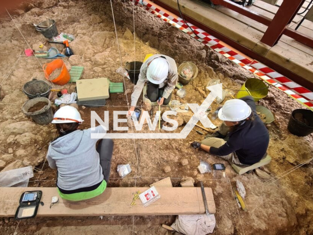 Picture shows the excavation work in level IIIb of the Cova de les Teixoneres de Moià where Neanderthal human remains have appeared. The excavation campaign in the Cova de les Teixoneres has made it possible to recover two skull fragments of a 52,000-year-old juvenile Neanderthal. Note: Licenced photo. (Florent Rivals, ICREA /IPHES-CERCA/Newsflash)