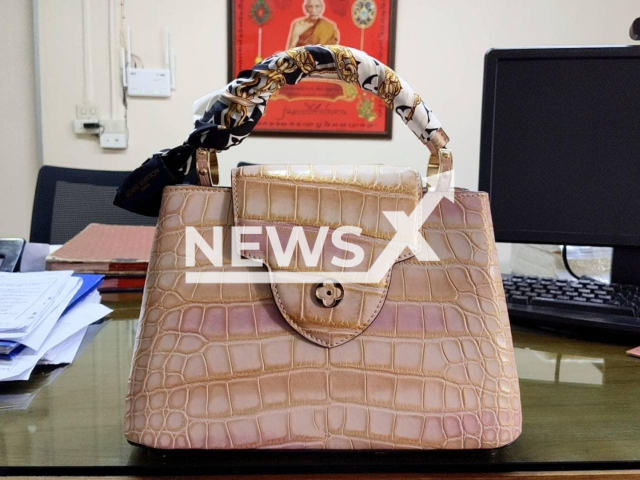 Picture shows the stolen Louis Vuitton bag, undated. Thai police arrested a man for theft at the Don Mueang International Airport in Bangkok, Thailand. Note: Police photo. (Don Mueang Police Station/Newsflash)