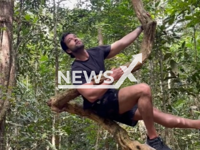 Brazilian actor Sergio Marone sits on a tree in undated footage. He reportedly said that he is 'ecosexual'. Note: Image is a screenshot from video. (@sergiomarone/Newsflash)