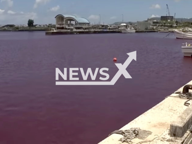 Photo shows the water that turned red in Nago, Okinawa in Japan. The color changed after coolant was spilled from the beer factory.
Note: Photo is a screenshot from a video(Newsflash).