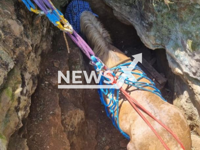 Photo shows firefighters rescuing a horse in Latina, Italy. The animal was trapped at a depth of four meters.
Note: Licensed photo(Vigili del Fuoco/Newsflash).