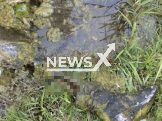 Image shows the leg that was found by a fisherman, undated photo. He spotted it in a quarry pond in the town of Lichtenau, Baden-Wuerttemberg State, Germany, on Friday, June 30, 2023. Note: Private photo. (Newsflash)