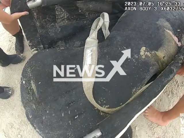 Footage shows stranded manatee being rescued off the beach in Ponce Inlet, Florida, Wednesday, July 5, 2023. It was successfully transported to the Sea World Rehabilitation Center. Note: Picture is a screenshot from a video (Volusia Sheriff's Office/Newsflash)