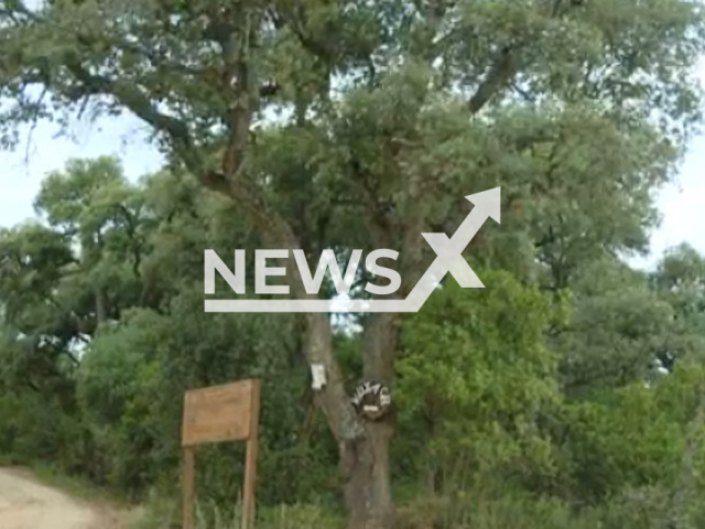 Photo shows the place where the kids were staying in Bruyola, Spain. Four kids were injured after explosion during the recreation of volcano experiment.
Notes: Picture is a screenshot from a video (Newsflash)