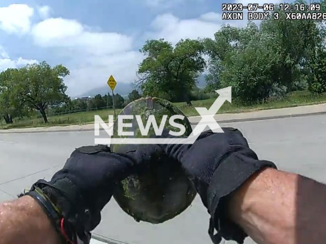 Photo shows the turtle that was rescued. Police officer removed the turtle from a road on Foothills Parkway in July 2023. Note: Photo is a screenshot from a video(@boulderpolice/Newsflash).