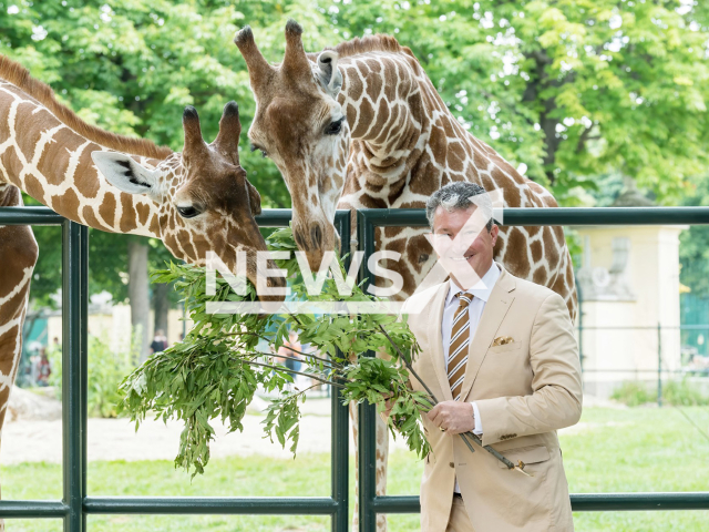 Schoenbrunn Zoo Director Stephan Hering-Hagenbeck, 55, poses in undated photo. The zoo located in the city of Vienna, Austria, stated it would concentrate on species conservation on Wednesday, 12th July 2023. Note: Licensed content. (Daniel Zupanc/Newsflash)