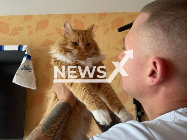 Photo shows a ginger cat with its owner, undated. The cat's owners could not get into their apartment after the door was closed from the inside by the cat. Note: Photo is from the Emergency Situations Ministry of the Russian Federation (Emergency Situations Ministry of the Russian Federation/Newsflash)