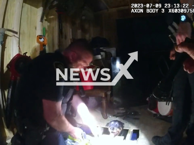 North Richland Hills Police Department rescued a dog who was stuck in a shed, in Payte Ln North Richland Hills, Texas, USA on 9 July,2023. Note: Picture is a screenshot from a video (NRH Police/Clipzilla)