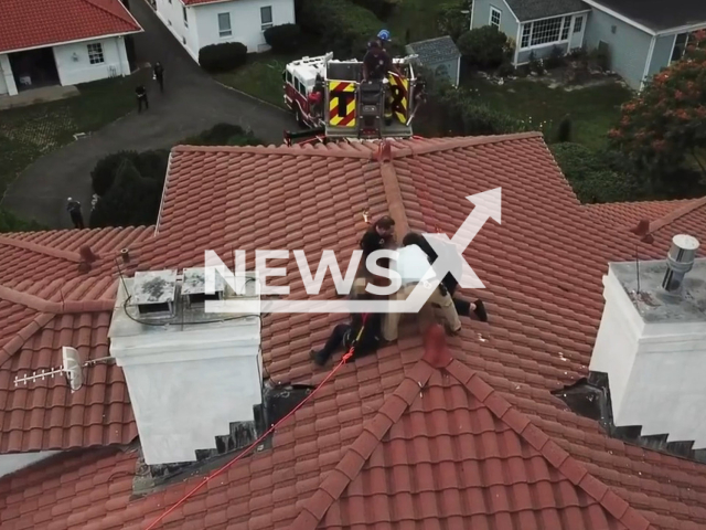 Officers detain woman on roof in Stamford, Connecticut, Wednesday, July 12, 2023. Responding officers were informed that an unknown female had walked into a home and began arguing with the homeowner. Note: Picture is a screenshot from a video (Stamford Police/Newsflash)