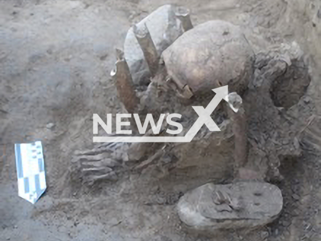 Photo shows a detail of the burial six and its offerings. Six skulls dated back 1000 years were found in the construction works of a school in the community of Hidalgo Amajac, municipality of Alamo Temapache, Veracruz, Mexico.
Notes: licenced picture (Eugenia Maldonado Vite-INAH/Newsflash)