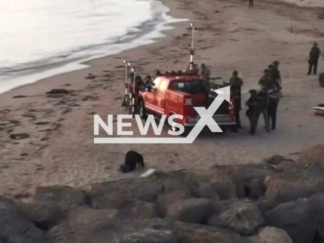 A 22-year-old Fillmore man was arrested after an hours-long standoff with police near Channel Islands Harbor, in Oxnard, Ventura County, California, United States on the 16 July 2023. Note: Picture is a screenshot from a video (Ventura County Sheriff's Office/Clipzilla)