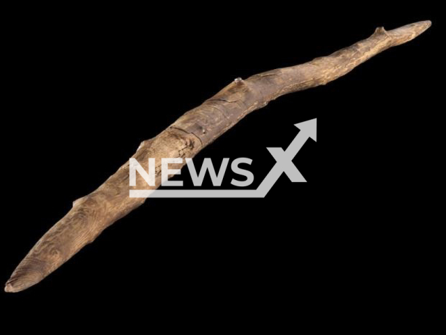 Image shows the double pointed wooden throwing stick, undated photo. It was found in the town of Schoeningen, Germany. Note: Licensed content. (Volker Minkus/Newsflash)