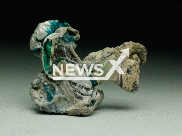 Image shows a plastiglomerate of coral rubble held together by melted plastic debris, undated photo. This artificial 'rock' can endanger the environment through greater decomposition into microplastics and higher pollution levels. Note: Licensed content. (Birgit Mohr, Kiel University/Newsflash)