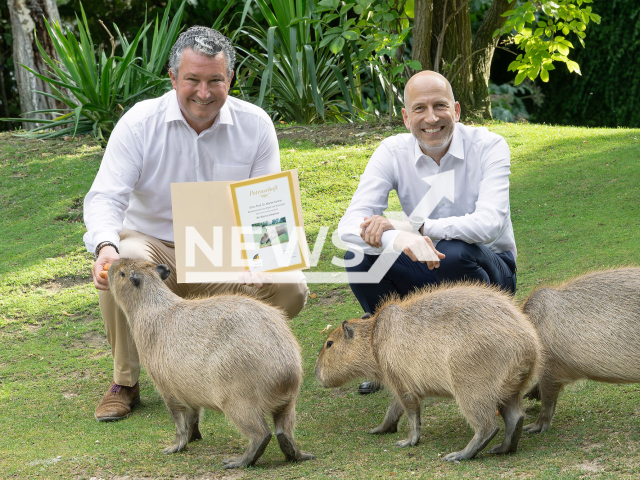 Image shows Austrian minister of labour Martin Kocher, 49, and Schoenbrunn Zoo director Stephan Hering-Hagenbeck, 55, undated photo. The politician sponsored the capybaras at the zoo in the city of Vienna, Austria. Note: Licensed content. (Daniel Zupanc/Newsflash)