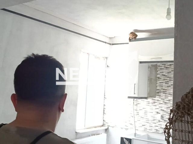 Members of the General Directorate of Nature Conservation and National Parks catch a monkey in a kitchen at a house in Bursa, Turkey, undated. The monkey was allegedly hiding in several homes in the neighbourhood for five days. Note: Picture is a screenshot from a video (@dkmp2bolgebursa/Newsflash)