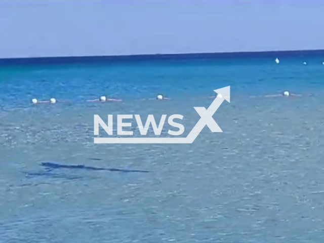 Picture show  the shark of about 2 meters in the  waters of in Villasimius,  Sardinia, Italy, in July, 2023. It is believed  to be a  blue shark. 
 Note: Picture is a screenshot from video. (Newsflash)