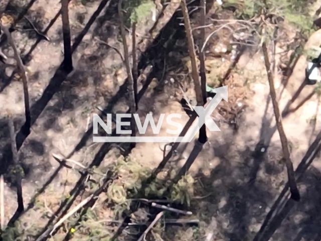 Ukrainian border guards unit discover the Russian mortar position in Lyman's direction in Ukraine in undated footage. The footage was released by the DPSU press service on Tuesday, Aug. 1, 2023.
Notes: Photo is screen from a video. (@DPSU-communication/Newsflash)