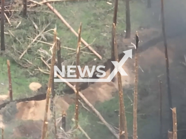 Ukrainian artillery destroys the Russian military positions in forest trenches near Kreminna in the Luhansk region in Ukraine in undated footage. The footage was released by the Special Purpose Battalion "Donbas" on Tuesday, Aug. 1, 2023.
Notes: Photo is screen from a video. (@bsp.donbas/Newsflash)