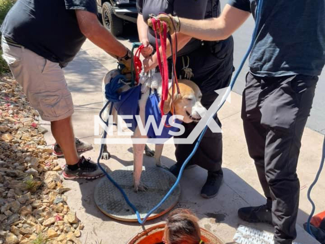 Police officers rescue a dog trapped in a drainage ditch in Palm Springs, California, on 6th April, 2022. Note: Photo from Palm Springs Police Department.(@PalmSpringsPD/Newsflash)