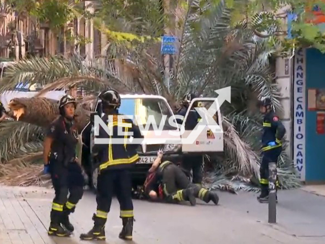 Photo shows the palm tree that fell in Barcelona. Young woman, 20, died on Thursday, August 03, 2023.
Note: Photo is a screenshot from a video(Newsflash).