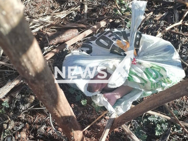 Picture shows the baby in a plastic bag in Mbuzini, Mpumalanga, South Africa, undated. Children playing nearby reportedly heard the child crying. Note: Private photo. (Newsflash)