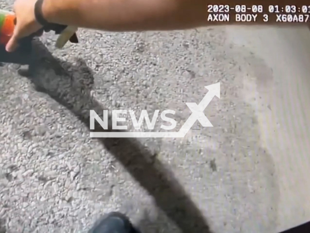 Officer removes a jar stuck in a raccoon's head in Erie County, Ohio, US, Tuesday, Aug. 8, 2023. The raccoon was named 'Bandit'.  Note: Picture is screenshot from a video. (@perkinspd/Newsflash)