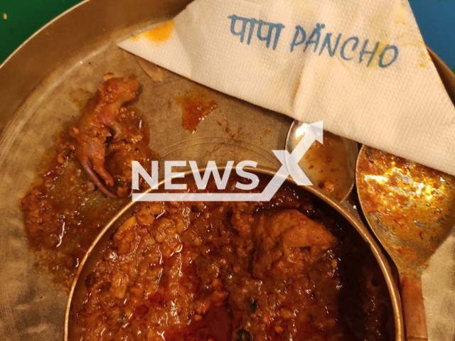 Photo shows the rat meat found in a chicken dish. The meal was ordered at 'Papa Pancho' restaurant in Bandra, India on Monday, August 14, 2023.
Note: Private photo(@Hotspri03423040/Newsflash).