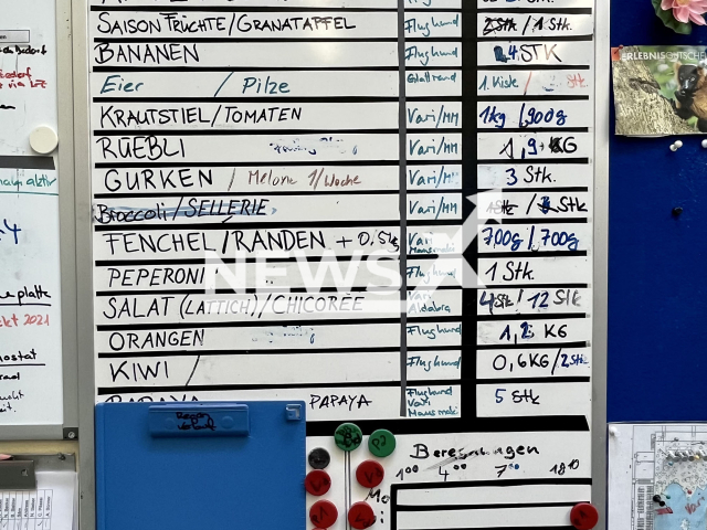 Image shows a delivery schedule for various types of fruit and vegetables for the animals at the Zurich Zoo, Switzerland, undated photo. They get delivered to the tropical Masoala rainforest enclosure three times a week. Note: Licensed content. (Zurich Zoo, Daniel Egger/Newsflash)