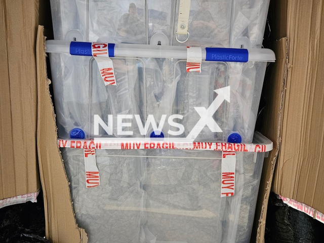 Image shows the seized cannabis, undated photo. A total of 84 kilogrammes (185 lbs) cannabis worth EUR 800,000 (GBP 682,748) were seized in the city of Bielefeld, Germany, on Thursday, July 27, 2023. Note: Licensed content. (Bielefeld Main Customs Office/Newsflash)