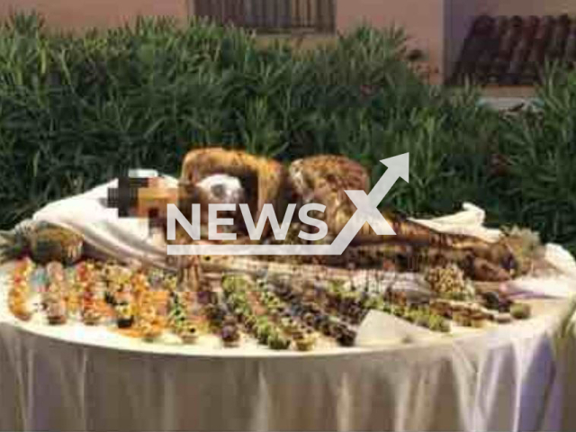 Picture shows a woman in a bathing suit covered in chocolate laying on a dessert table, at  a hotel in Golfo Aranci, Italy, on Tuesday, Aug. 15, 2023. The action received criticism after the photo was shared on the social media. Note: Private photo (Newsflash)