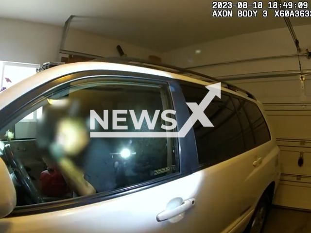 Burglary suspect drinks gasoline while being arrested in Seattle, Washington, Friday, Aug. 18, 2023. The 17-year-old teenage girl was brought to safety. Note: Picture is a screenshot from video. (Seattle Police Department/Newsflash)