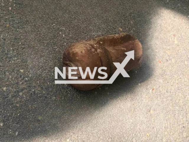 Photo shows a sex toy, undated. Two women reportedly mistook a sex toy for a bomb and called the police in Moscow, Russia. Note: Picture is private (Newsflash)