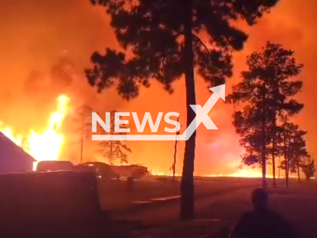 Prompt response contains wildfire threat in Vernon Parish's Lions Camp Road area in Louisiana, USA on the 27th of August 2023. Note: This picture is a screenshot from the video. (Vernon Parish Sheriff's Office/Clipzilla)