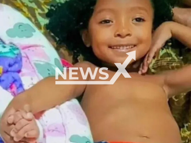 Agata Sofia Fernandes da Silva, 5, poses in undated photo. She was stung by a scorpion in the city of Barreiras, Bahia in Brazil. Note: Private photo. (Newsflash)