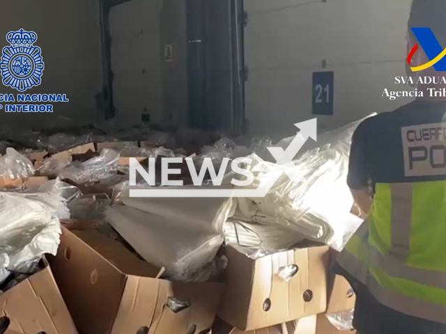 Police investigate 9.5 tonnes of narcotics seized, hidden in boxes of bananas, in a container from Ecuador, in Algeciras, Spain, undated. Note: Picture is screenshot from a video. (Clipzilla)