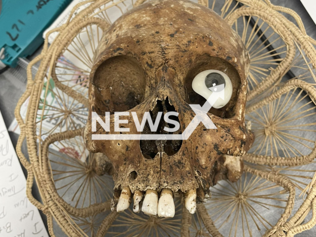 Photo shows the human scull found in a box donated to a Goodwill in Arizona on Tuesday, September 05, 2023. Goodwill manager called the cops.
Note: Police photo(Goodyear Police Dept/Newsflash).