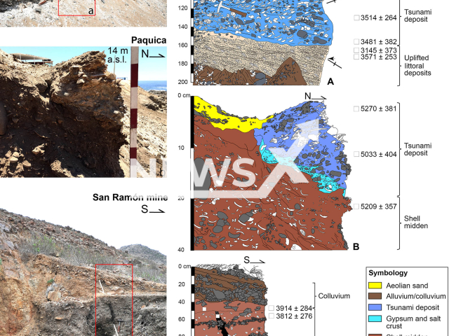 Selected sites for geological and archaeological observations of Late Holocene coastal uplift and tsunami deposits (see Fig.1B for site locations).(A) Uplifted littoral deposits are located up to 6 m a.s.l. at Pabellón de Pica (20.89°S), overlain by distinctive deposits interpreted as tsunami layers and debris flow. Littoral facies, showing stratification and abundant shell fragments interpreted as beach-berm deposits, are overlain by distinctive deposits interpreted as tsunami layers showing significant lateral extension, fragments, and some articulated bivalves and other faunal content typical from subtidal and intertidal environments (Protothaca thaca, Choromytilus chorus, and Megabalanus sp.), extensive angular fragmentation, and incipient imbrication toward the sea [e.g., (90)]. (B) Tsunami deposit located at 14 m a.s.l. embedded in and reworking Mid-Holocene archaeological layers at Paquica Sur (21.91°S). (C) Archaeological strata at San Ramón-15 mine (25.38°S), affected by a seismically induced crack overlain by colluvial wedge and soil layer. Note: Picture is from a press release (Departamento de Geologia - Universidad de Chile/Newsflash)