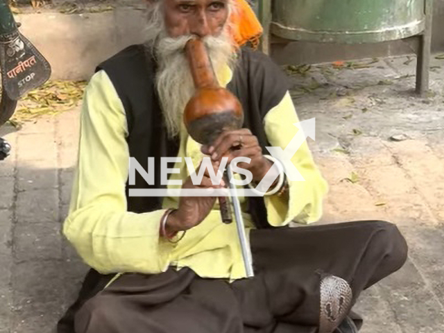 Illustrative image shows a snake charmer, undated. Snake charmers have released snakes on moving train in Uttar Pradesh. Note: Image is a screenshot from video. (Newsflash)