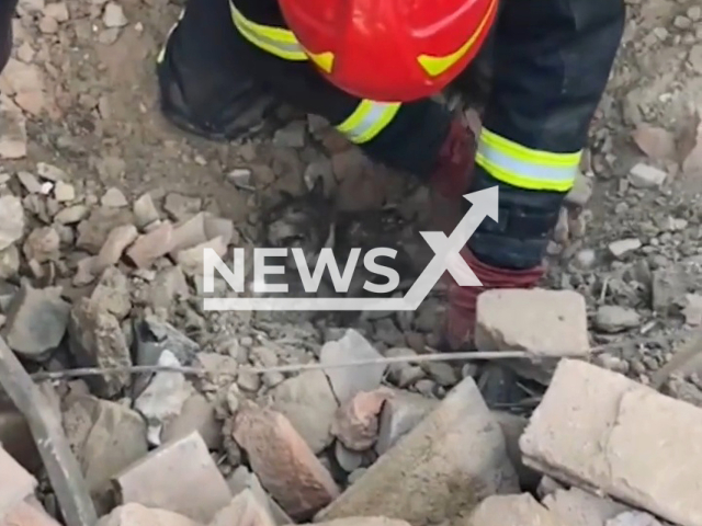 Police and rescuers of Donetsk region saving a puppy covered with debris in April 2022. Note: Picture is a screenshot from a video (Donetsk Region Police/Newsflash)