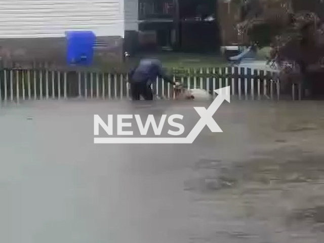 Photo shows the moment police officer Benjamin Schultz is rescuing a dog tied up to a fence during the Ophelia flooding in Greenville, North Carolina, in September 2023. The dog was a small pit bull. Note: Picture is screenshot from a video. (@greenvillepd1/Newsflash)