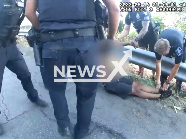 Carjacking suspect and police officers stung by wasps during arrest on East Queen Anne in Seattle, Washington on the 13th of August 2023. Note: This picture is a screenshot from the video. (Seattle Police Department/Clipzilla)