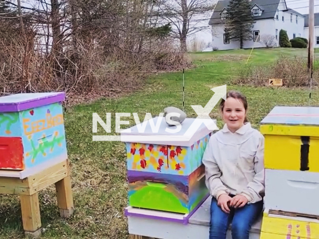 Picture shows Elizabeth Downs, 11, undated. An 11-year-old girl from the United States who signed up for a beekeeping lecture aged eight has revealed she wanted to become her state's chief apiarist. Note: Image is a screenshot from video. (Newsflash)