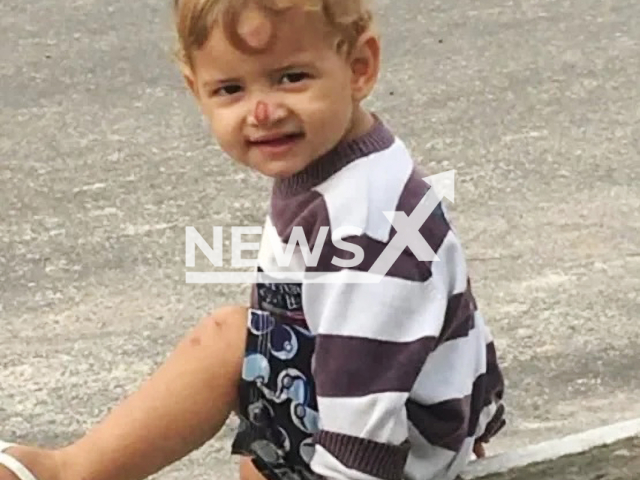 Photo shows Pyettro Alves da Silva, 2, undated. He was allegedly mauled by a dog in Teixeira de Freitas, Bahia, Brazil Note: Picture is private (Newsflash)